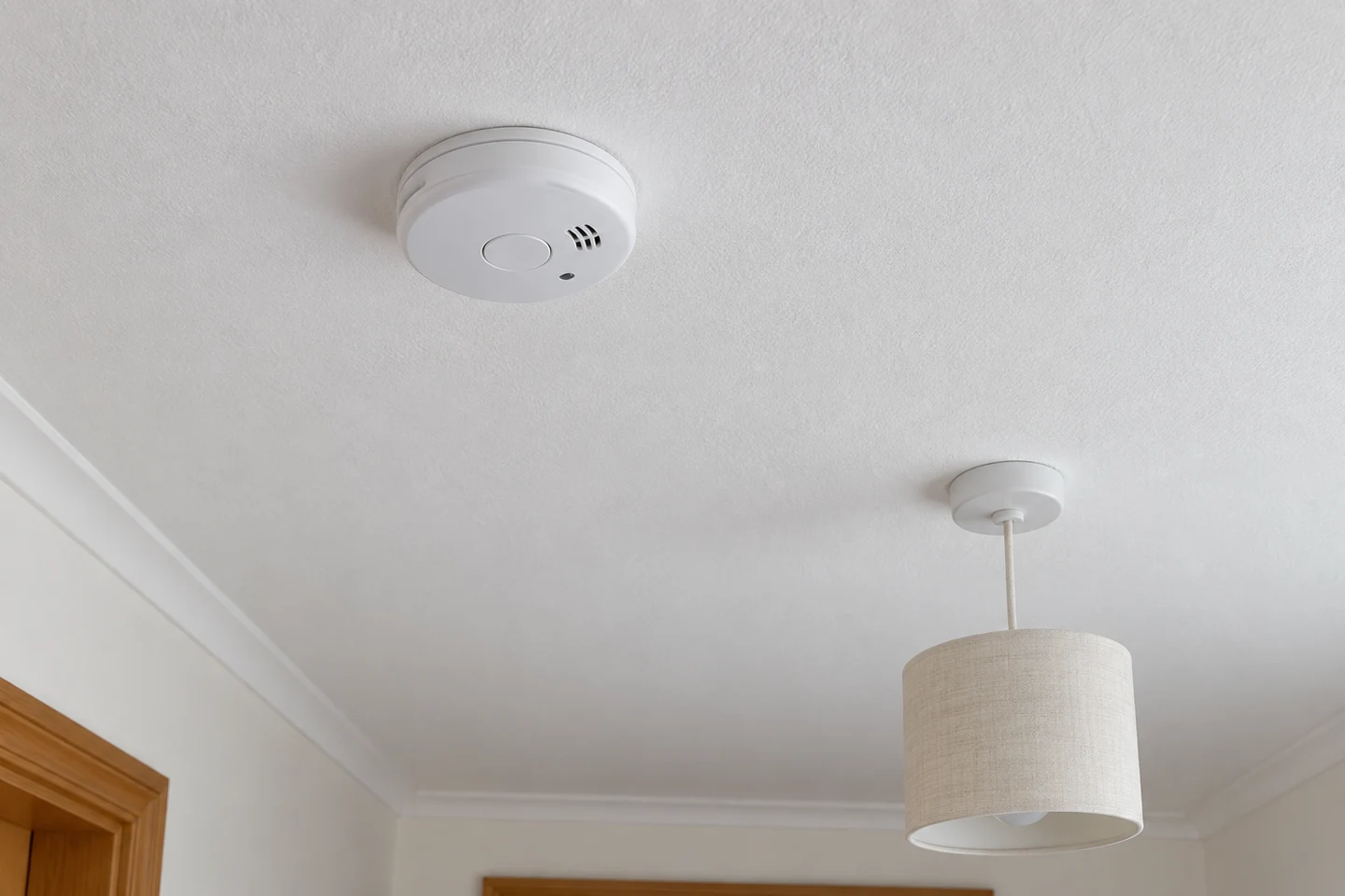 mains alarm + ceiling rose